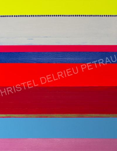 ARTISTE / PEINTURE CHRISTEL DELRIEU PETRAUD