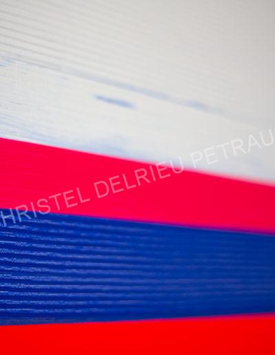 ARTISTE / PEINTURE CHRISTEL DELRIEU PETRAUD