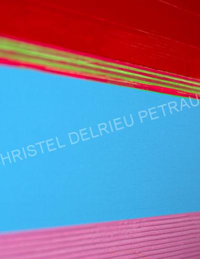 ARTISTE / PEINTURE CHRISTEL DELRIEU PETRAUD