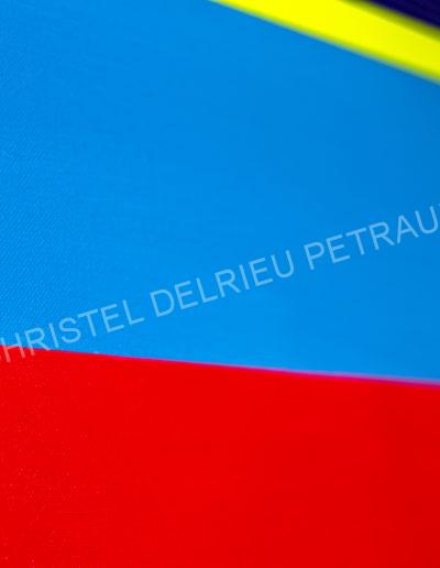ARTISTE / PEINTURE CHRISTEL DELRIEU PETRAUD