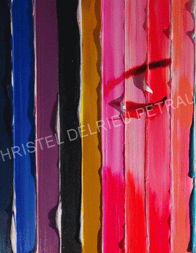 ARTISTE / PEINTURE CHRISTEL DELRIEU PETRAUD