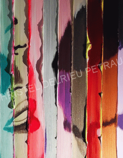 ARTISTE / PEINTURE CHRISTEL DELRIEU PETRAUD