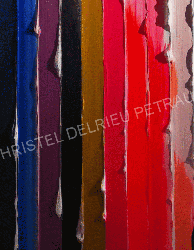 ARTISTE / PEINTURE CHRISTEL DELRIEU PETRAUD