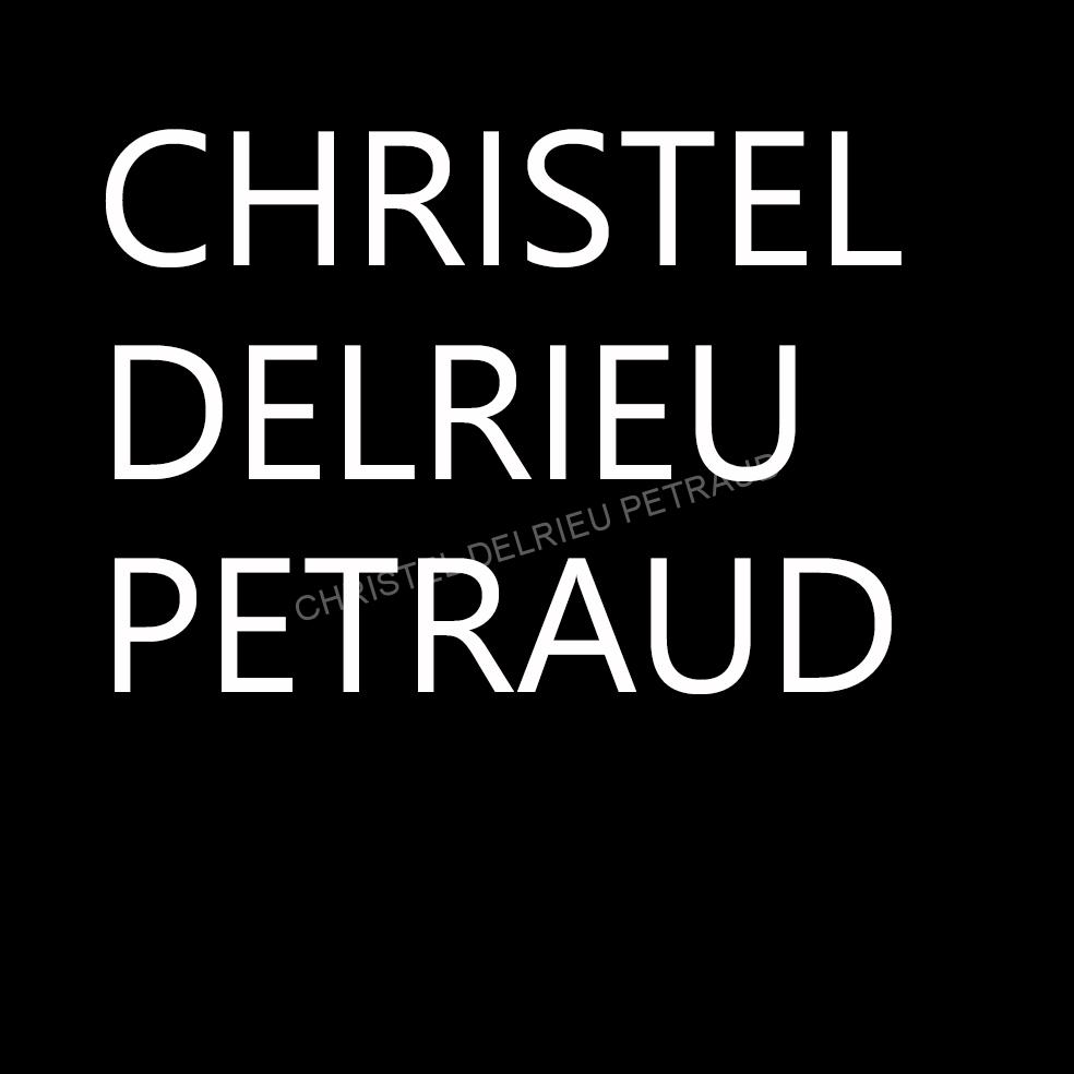 Christel delrieu petraud artiste peintre atelier